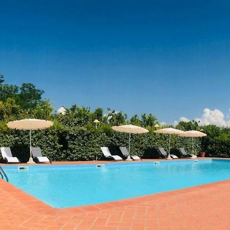 Villa Lavinia B&B Montescudaio Exterior foto