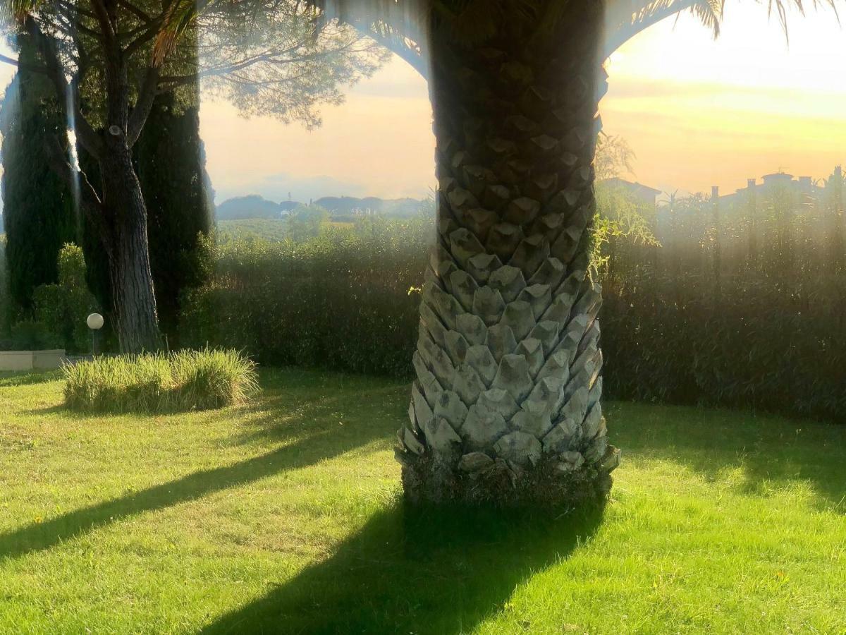 Villa Lavinia B&B Montescudaio Exterior foto